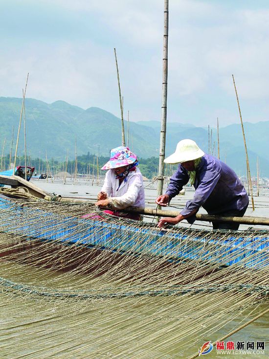 向海而兴  正当其时