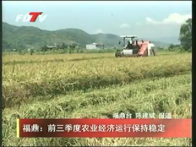 福鼎：前三季度农业经济运行保持稳定