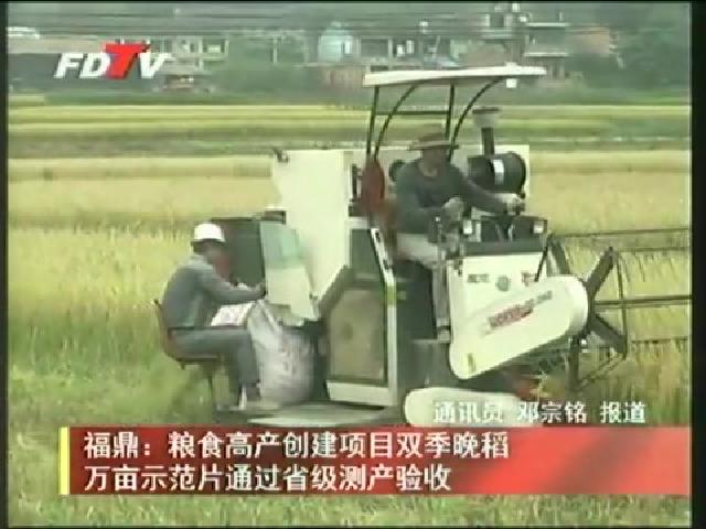 福鼎：粮食高产创建项目双季晚稻万亩示范片通过省级测产验收