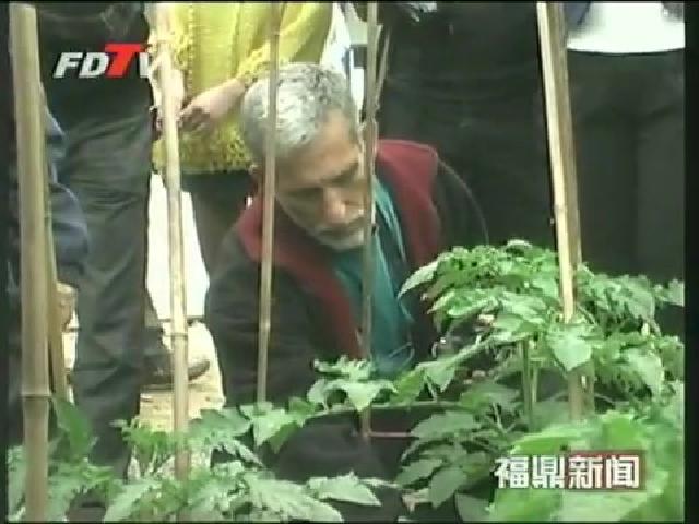 以色列国家农业部农业专家莅鼎指导节水灌溉和水肥一体化技术