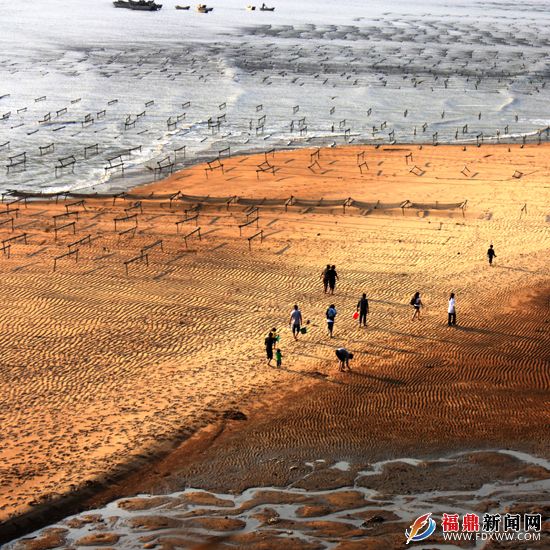 7一群游客在大元当沙滩上漫步.JPG