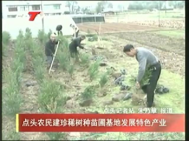 点头农民建珍稀树种苗圃基地发展特色产业