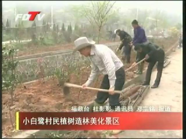 小白鹭村民植树造林美化景区