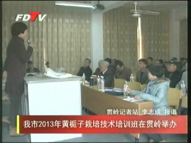 我市2013年黄栀子栽培技术培训班在贯岭举办