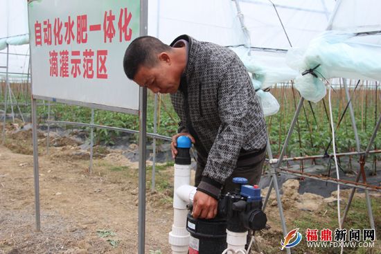 每个水肥一体化滴灌系统可自动根据田间作物生长需水要求定时定点定量滴水.jpg