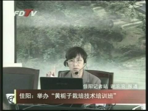 佳阳：举办“黄栀子栽培技术培训班”