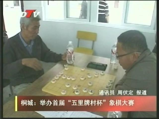 桐城：举办首届“五里牌村杯”象棋大赛