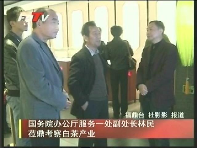 国务院办公厅服务一处副处长林民莅鼎考察白茶产业