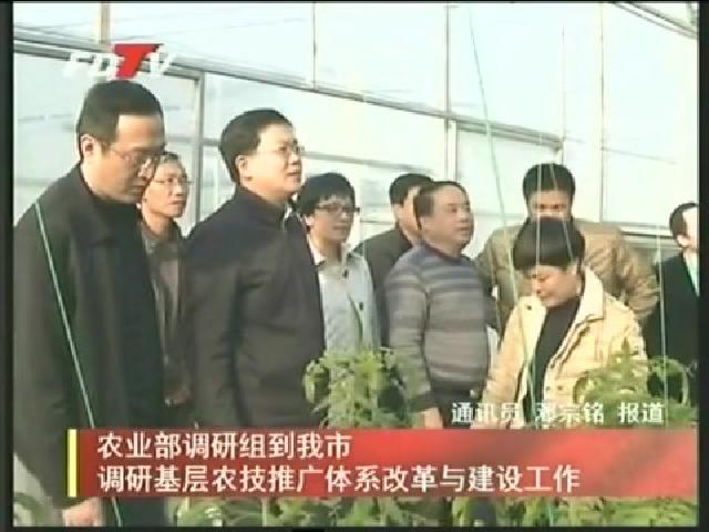 农业部调研组到我市调研基础农技推广体系改革与建设工作