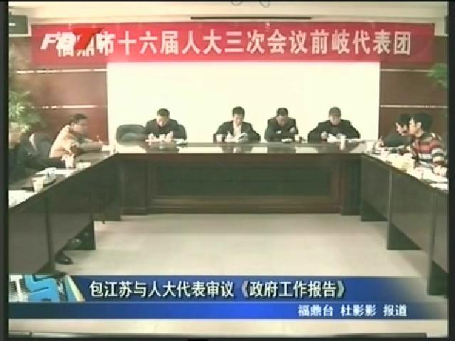 包江苏与人大代表审议《政府工作报告》