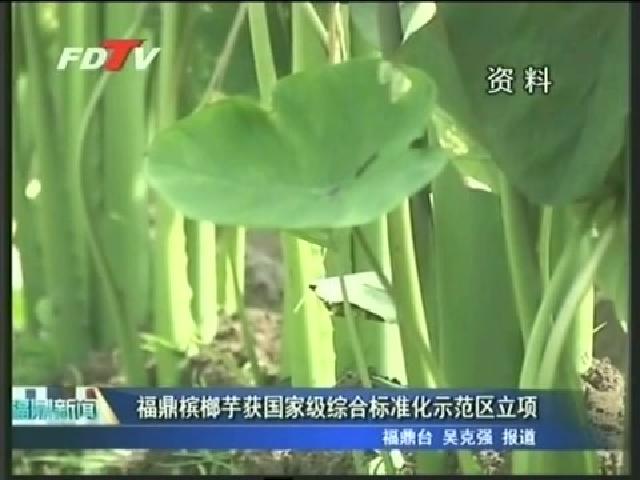 福鼎槟榔芋获国家级综合标准化示范区立项