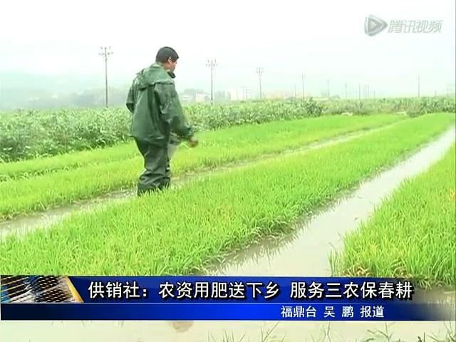 供销社：农资用肥送下乡 服务三农保春耕