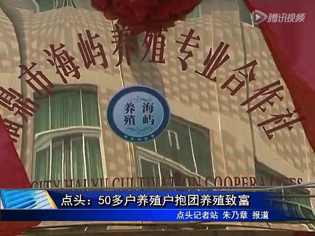 点头：50多户养殖户抱团养殖致富