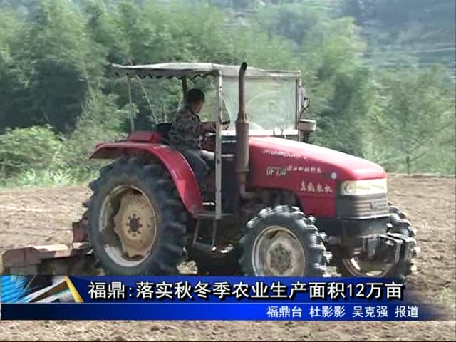 福鼎:落实秋冬季农业生产面积12万亩