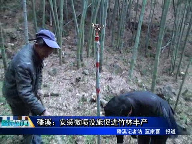 磻溪：安装微喷设施促进竹林丰产