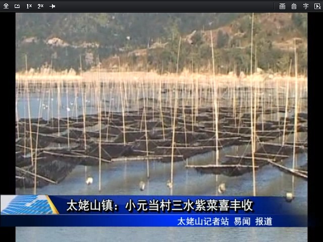 太姥山镇：小元当村三水紫菜喜丰收