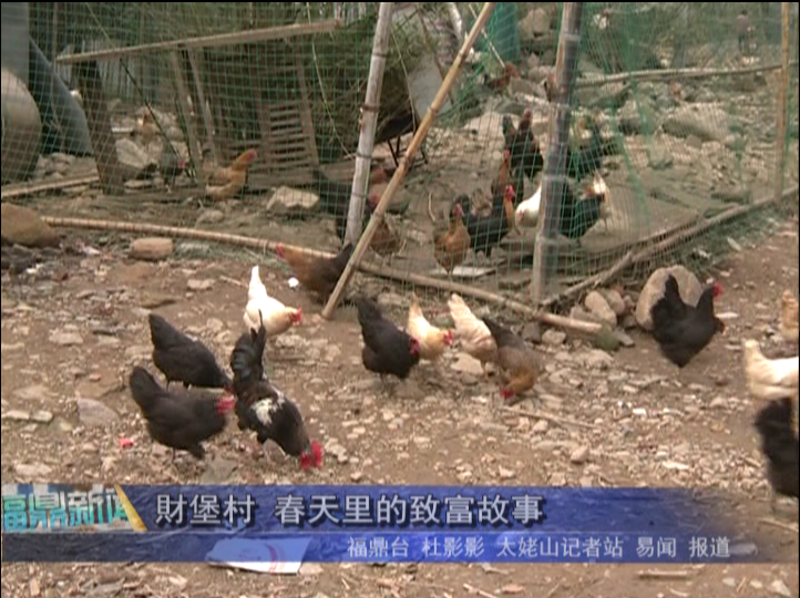 財堡村 春天里的致富故事