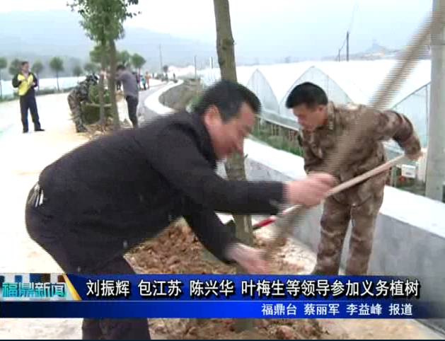 刘振辉 包江苏 陈兴华 叶梅生等领导参加义务植树