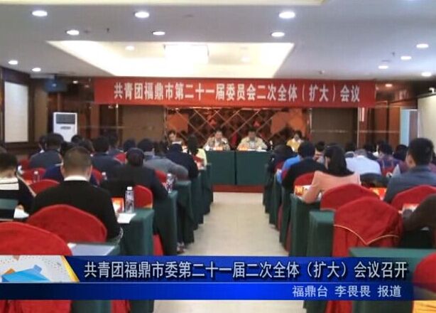 共青团福鼎市委第二十一届二次全体（扩大）会议召开