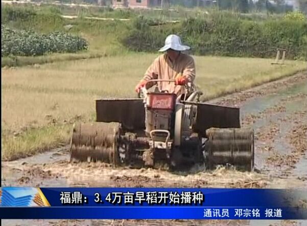 福鼎：3.4万亩早稻开始播种
