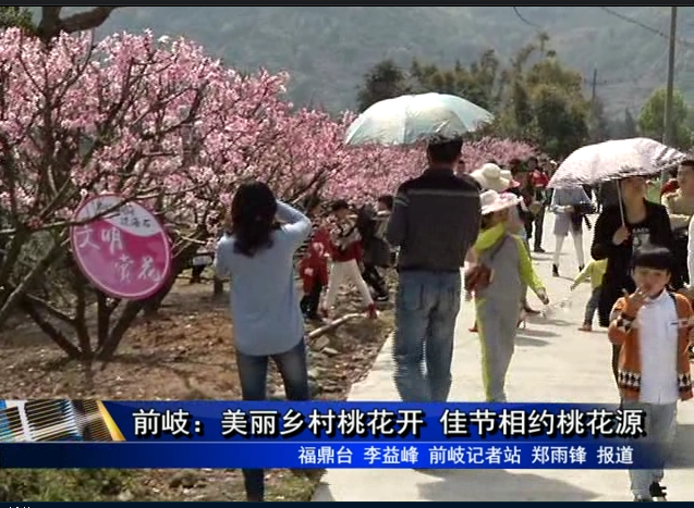 前岐：美丽乡村桃花开 佳节相约桃花源