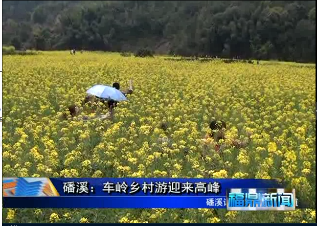 磻溪：车岭乡村游迎来高峰