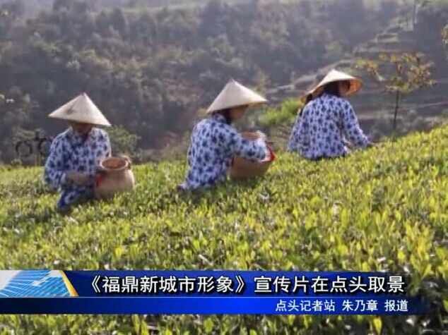 《福鼎新城市形象》宣传片在点头取景