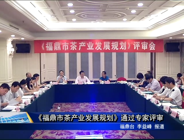《福鼎市茶产业发展规划》通过专家评审