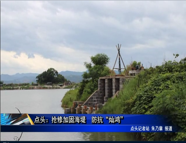点头：抢修加固海堤 防抗“灿鸿”