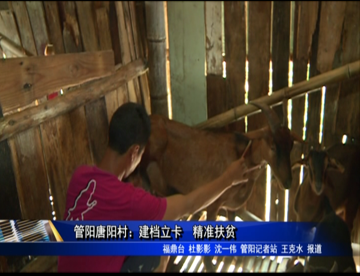 管阳唐阳村：建档立卡　精准扶贫