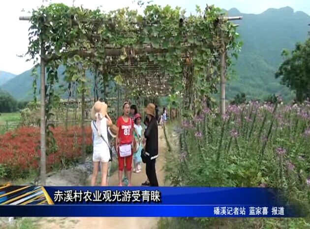 赤溪村农业观光游受青睐