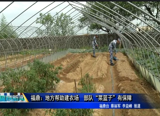 福鼎：地方帮助建农场 部队“菜篮子”有保障