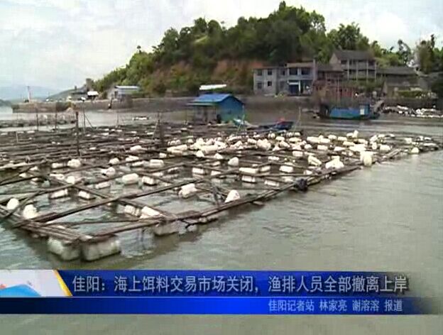 佳阳：海上饵料交易市场关闭，渔排人员全部撤离上岸