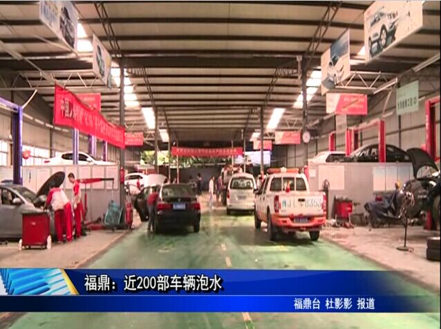 福鼎：近200部车辆泡水