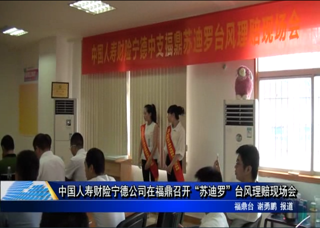 中国人寿财险宁德公司在福鼎召开“苏迪罗”台风理赔现场会