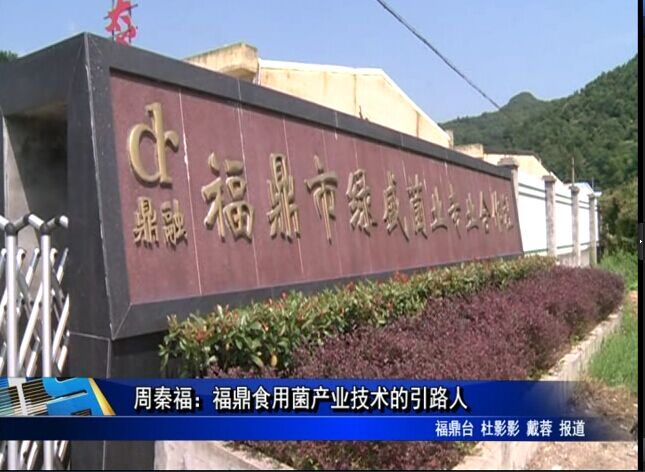 “市管优秀人才风采”----周秦福：福鼎食用菌产业技术的引路人