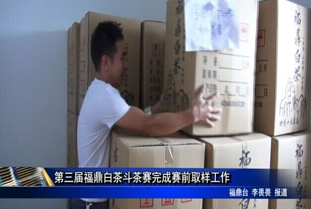 第三届福鼎白茶斗茶赛完成赛前取样工作