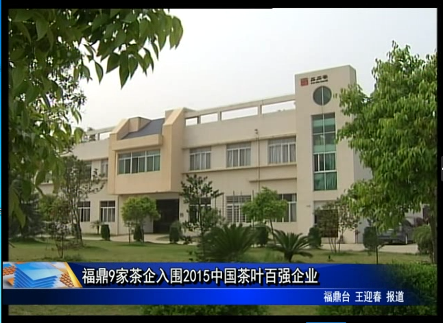 福鼎白茶：在行业领域和市场营销上连创佳绩