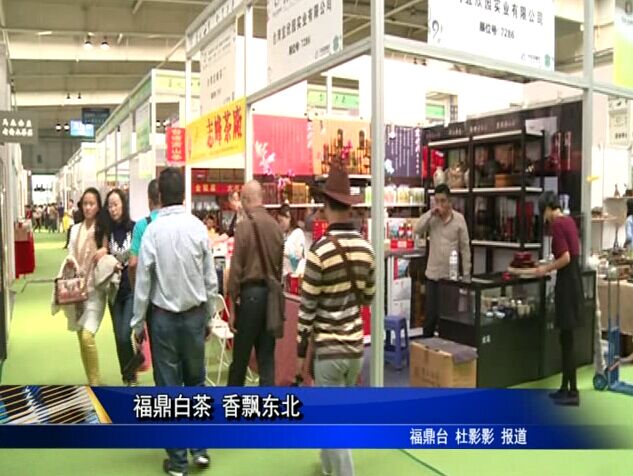 福鼎白茶 香飘东北