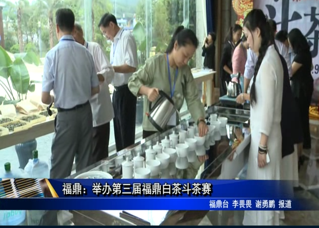 福鼎：举办第三届福鼎白茶斗茶赛