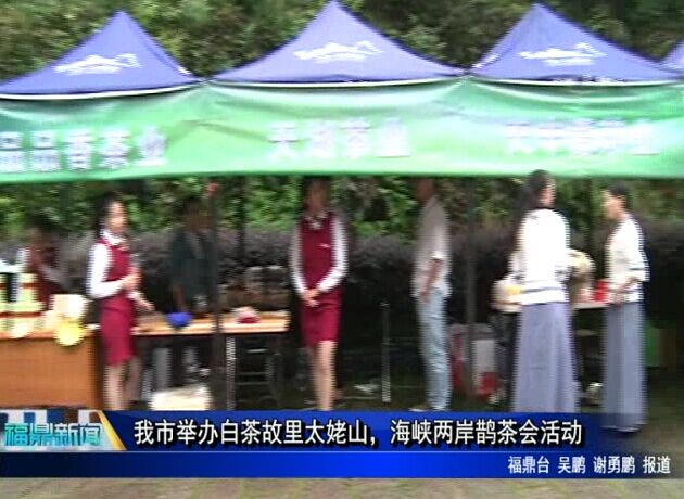 我市举办白茶故里太姥山，海峡两岸鹊茶会活动