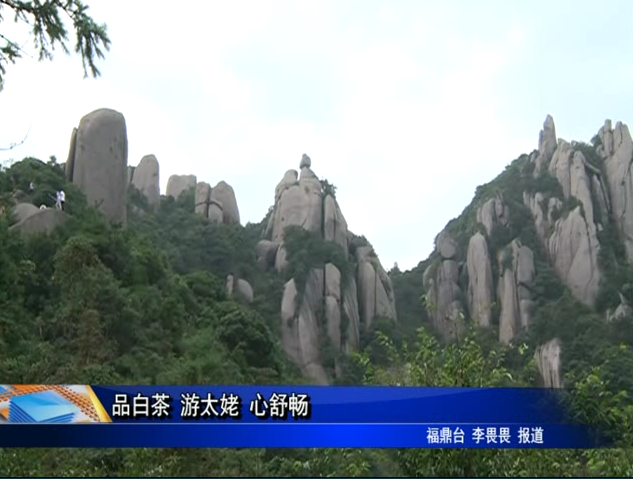 品白茶 游太姥 心舒畅