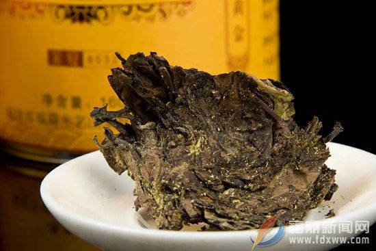 福鼎白茶也能开金花