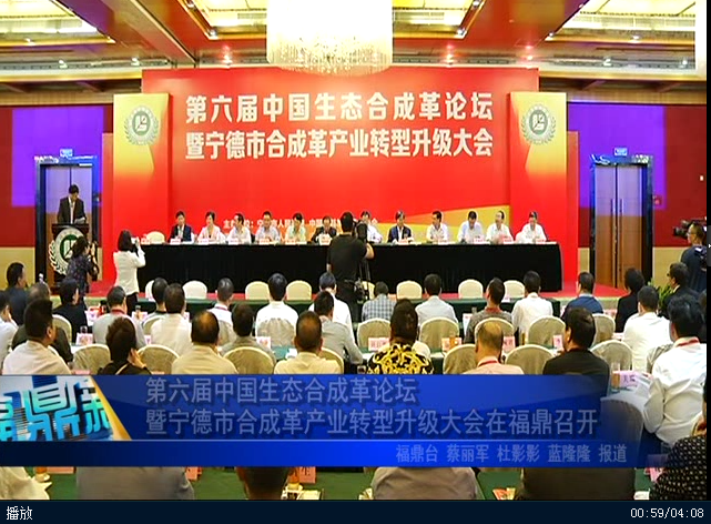 第六届中国生态合成革论坛暨宁德市合成革产业转型升级大会在福鼎召开