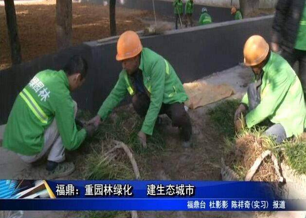 福鼎：重园林绿化 建生态城市