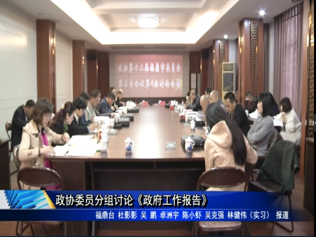 政协委员分组讨论《政府工作报告》