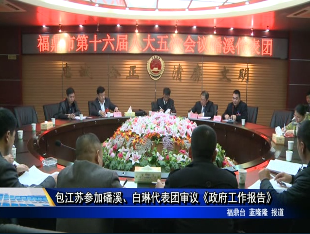 包江苏参加磻溪、白琳代表团审议《政府工作报告》