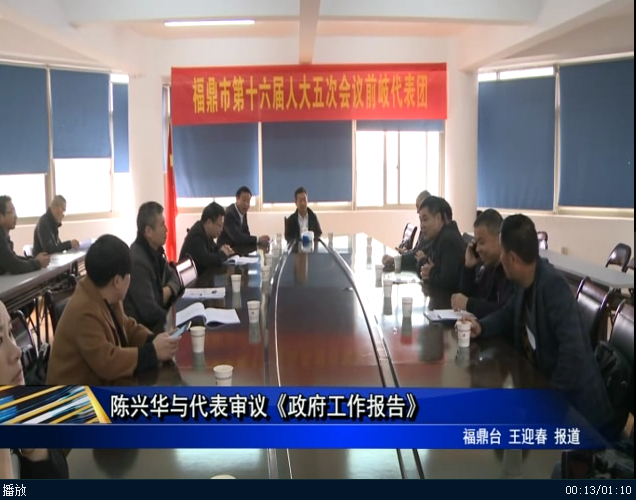 陈兴华与代表审议《政府工作报告》