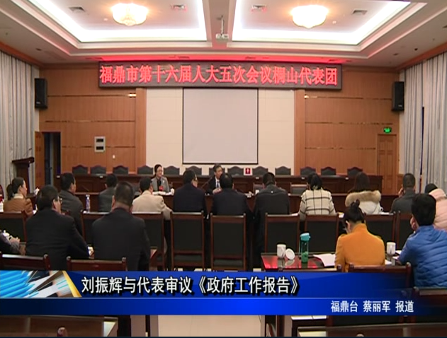 刘振辉与代表审议《政府工作报告》