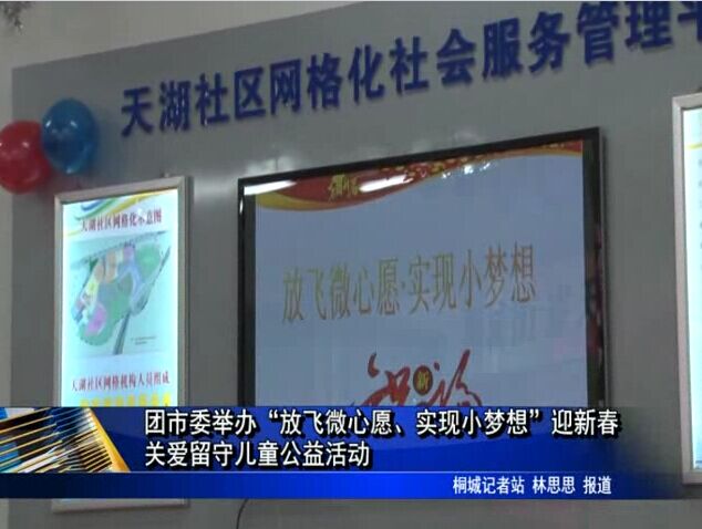 团市委举办“放飞微心愿、实现小梦想”迎新春关爱留守儿童公益活动